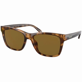 Coach Men's Sunglasses - Full Rim Dark Tortoise Plastic Frame | 0HC8359U 51208356