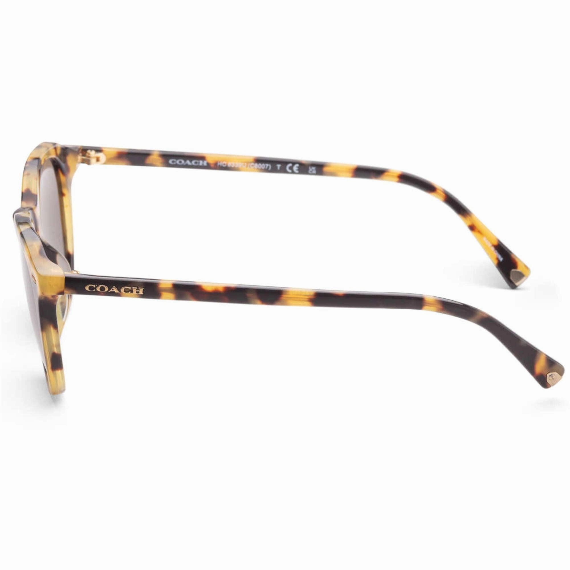 Coach Men's Sunglasses - Full Rim Tokyo Tortoise Acetate Frame | 0HC8339U 5171352