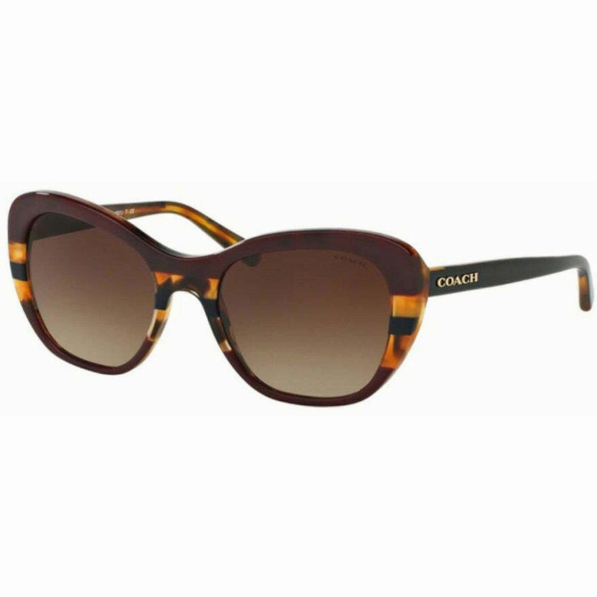 Coach Women's Sunglasses - Aubergine Navy Tortoise Varsit Frame | 0HC8204F 54441354