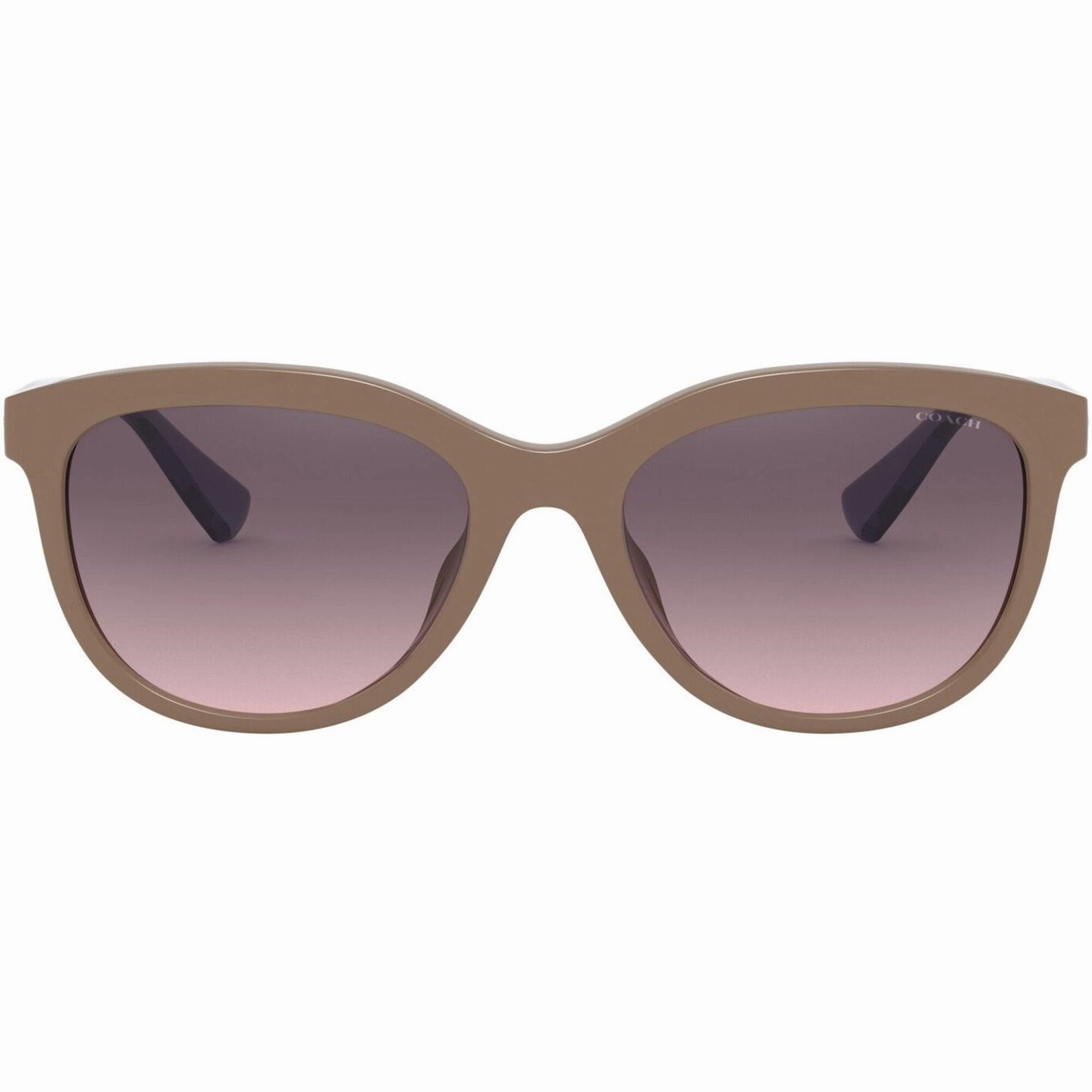 Coach Women's Sunglasses - Gray Pink Gradient Lens Cat Eye Frame | 0HC8285U 55894656
