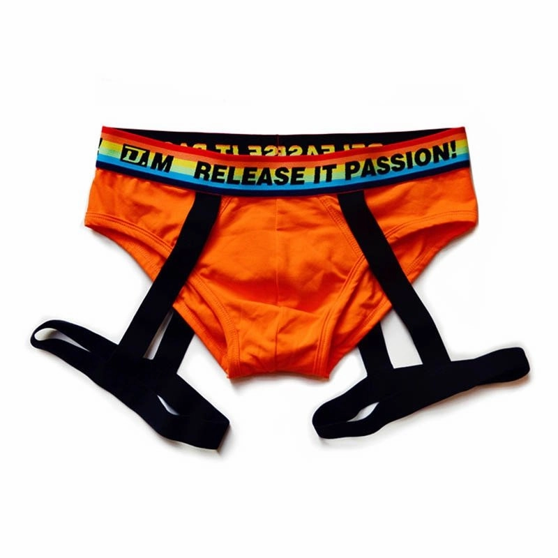 DM Rainbow Passion Garter Briefs