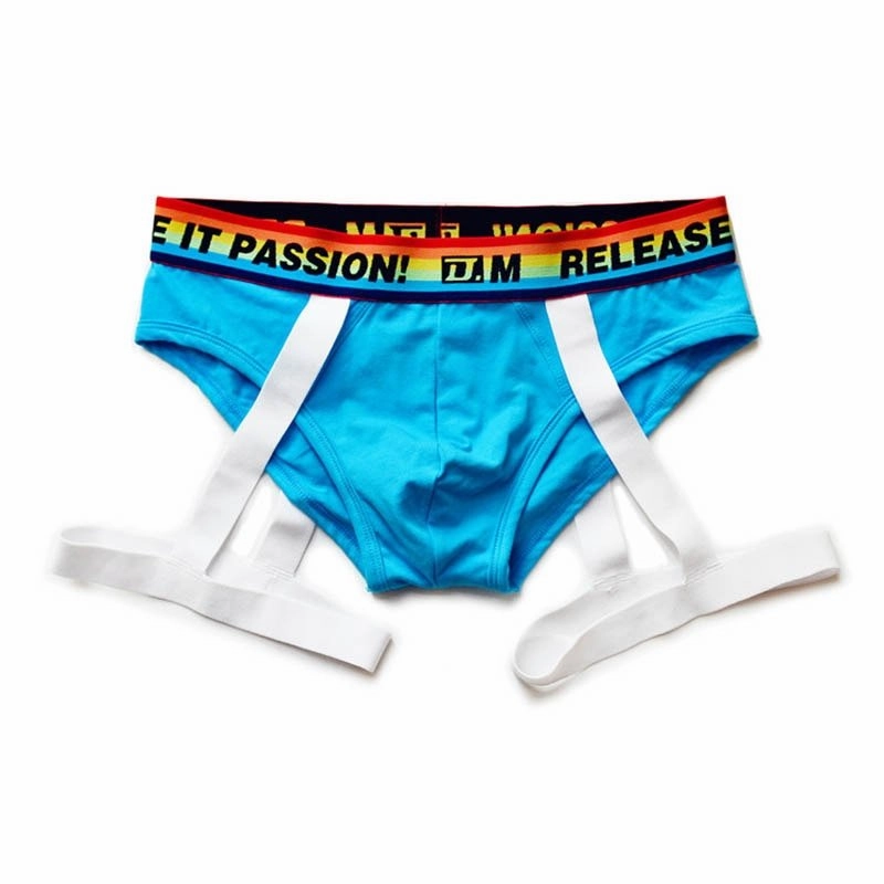 DM Rainbow Passion Garter Briefs