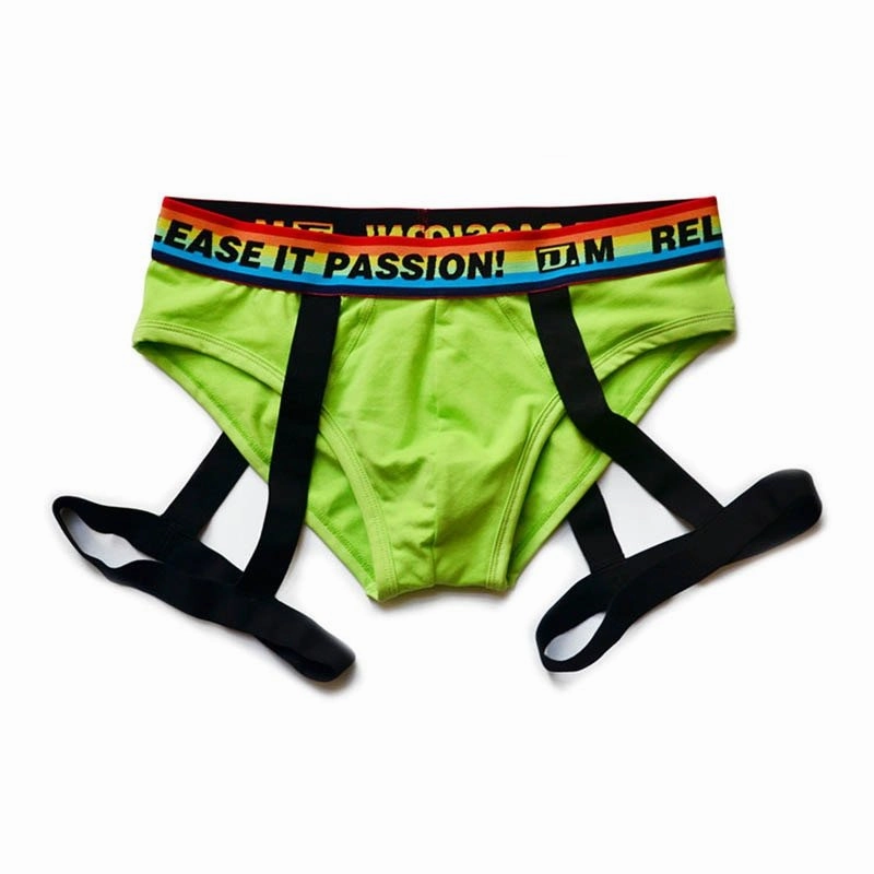 DM Rainbow Passion Garter Briefs