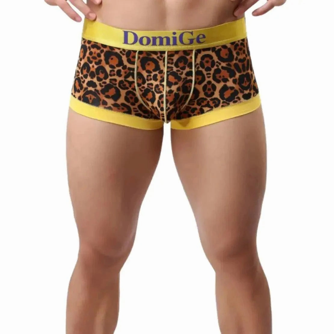 DomiGe Men's Low-Rise Leopard Trunks Stretchy Underwear with Gold Waistband
