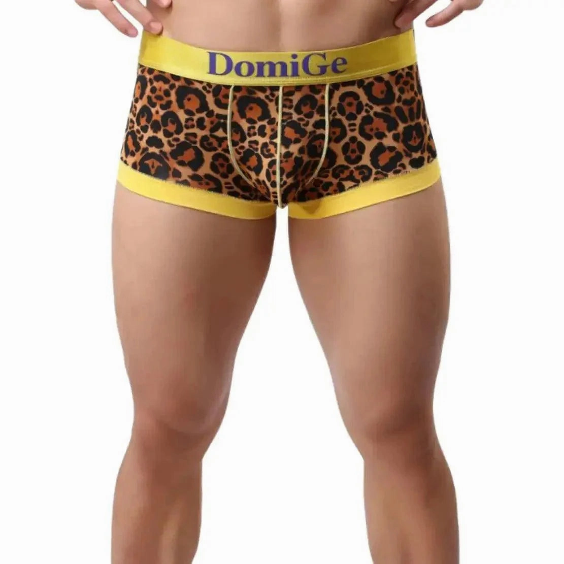 DomiGe Men's Low-Rise Leopard Trunks Stretchy Underwear with Gold Waistband