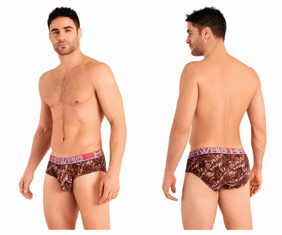 HAWAI 42026 Briefs Color Terracotta
