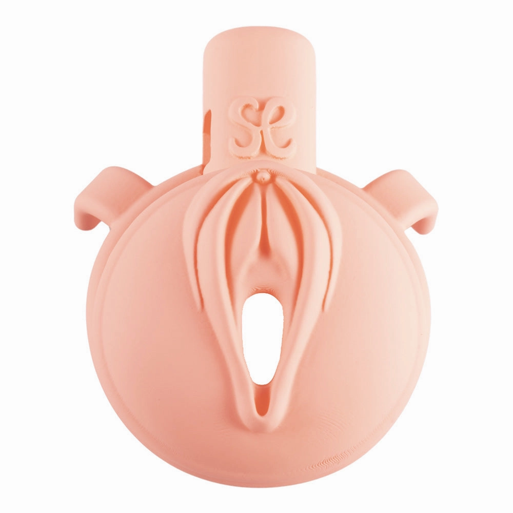 Sevanda Pink Pride Lockable Vulva Chastity Cage