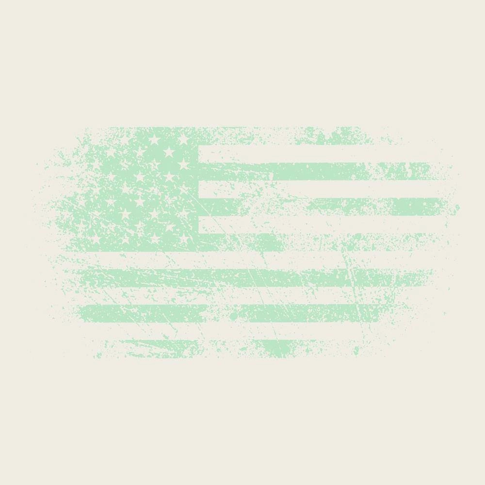 Women's Vintage American Flag Cropped T-Shirt - Natural